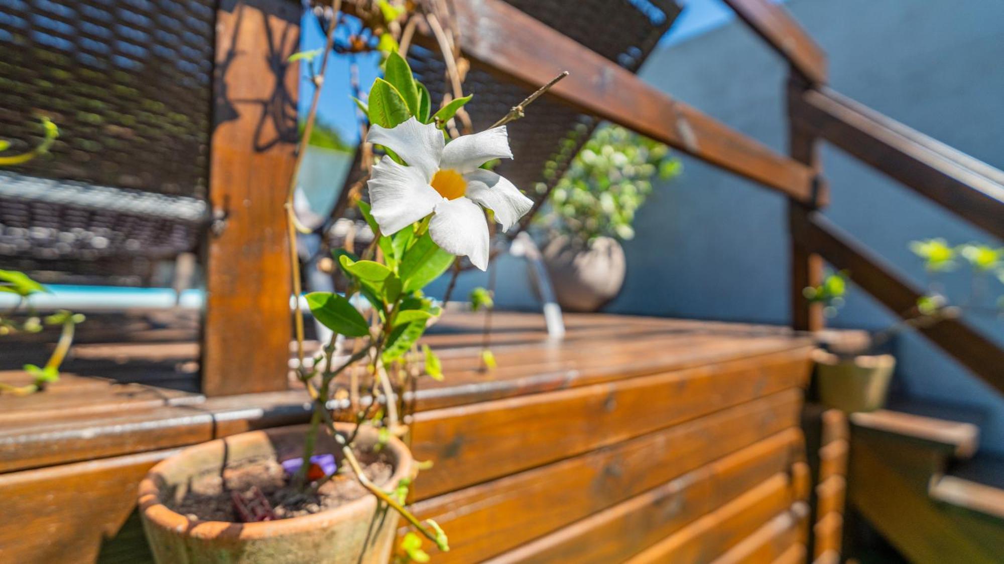 Willa Residencial Com Piscina Possui Jacuzzi Aquecida Com Hidromassagem Bombinhas Zewnętrze zdjęcie